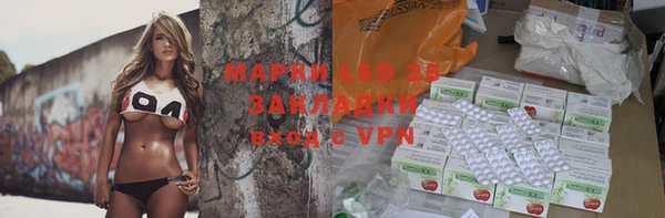 ПСИЛОЦИБИНОВЫЕ ГРИБЫ Каменка