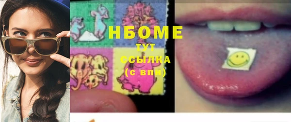 шишки Карпинск