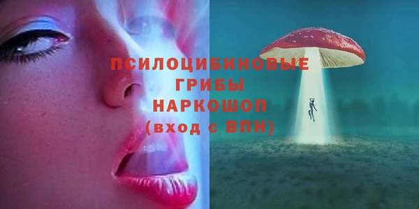 дживик Инсар