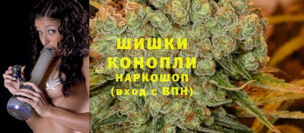 ПСИЛОЦИБИНОВЫЕ ГРИБЫ Каменка