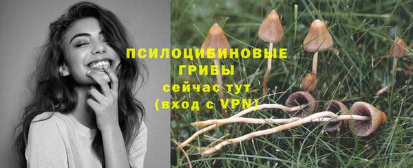 ПСИЛОЦИБИНОВЫЕ ГРИБЫ Каменка