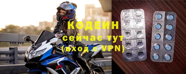 спиды Каменногорск