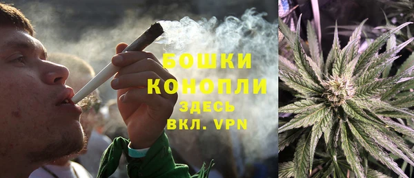 ПСИЛОЦИБИНОВЫЕ ГРИБЫ Каменка
