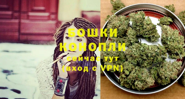 ПСИЛОЦИБИНОВЫЕ ГРИБЫ Каменка