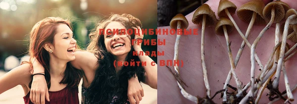 винт Иннополис