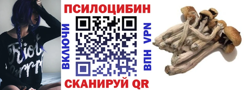Галлюциногенные грибы Magic Shrooms  Купить  Ковылкино 